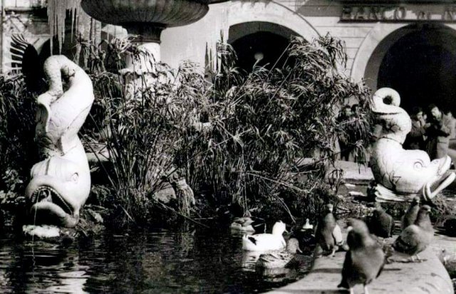 fontana dei delfini 1950